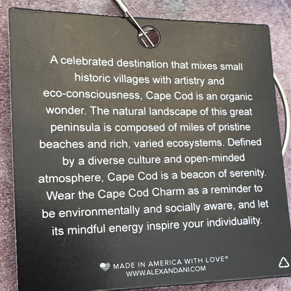Alex and Ani Silver Cape Cod Charm Bracelet - Picture 3 of 3